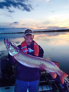 Tony's biggest Muskie to date
